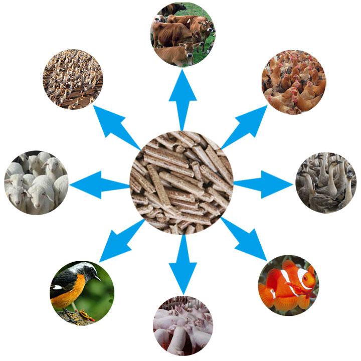 89hgj8995s239.jpg 89hgj8995s239.jpg