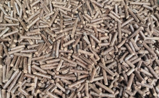 鋸末顆粒機加工的顆粒燃料價格主要受哪幾個方面的影響？