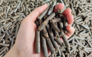 生物質顆粒燃料公司前景怎么樣，木屑顆粒機的顆粒燃料賣給誰的？